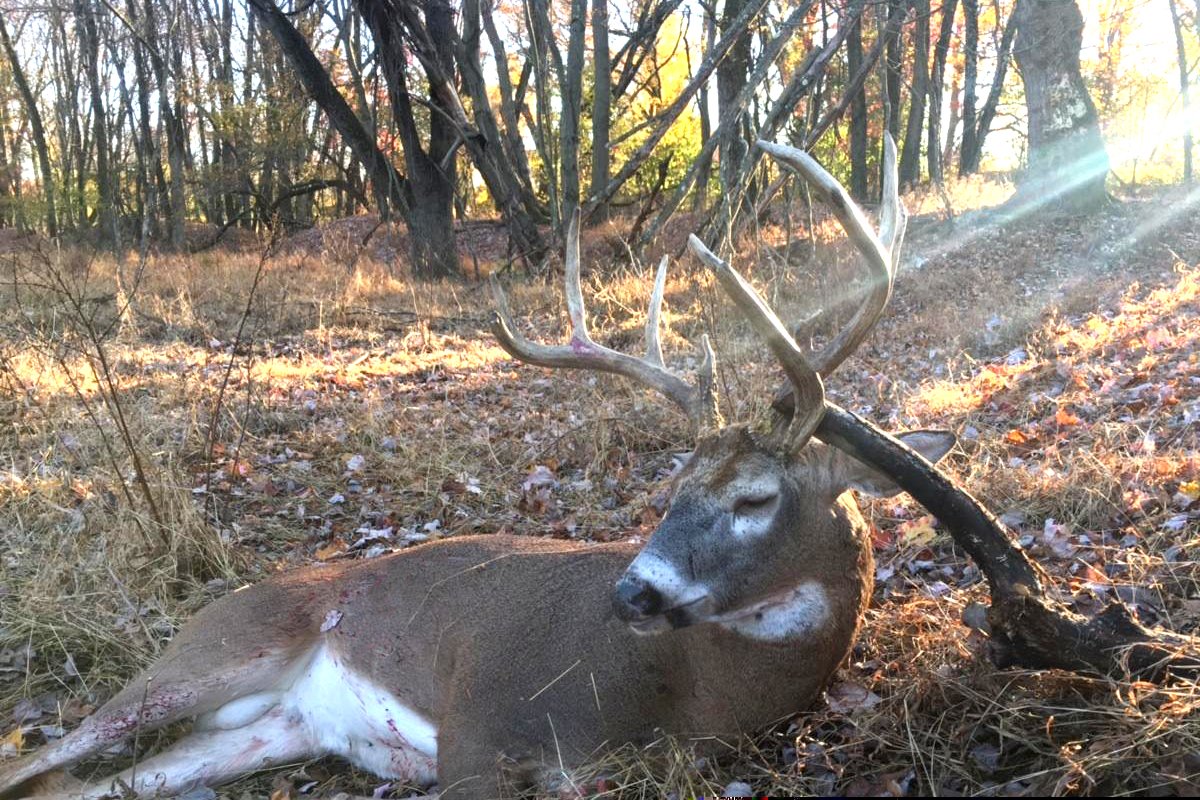 Shot in the area of Tracts 2 & 3 - LAND AUCTION - 1,682+/- ACRES OFFERED IN 17 TRACTS IN LEWIS & GREENUP COUNTIES, KENTUCKY